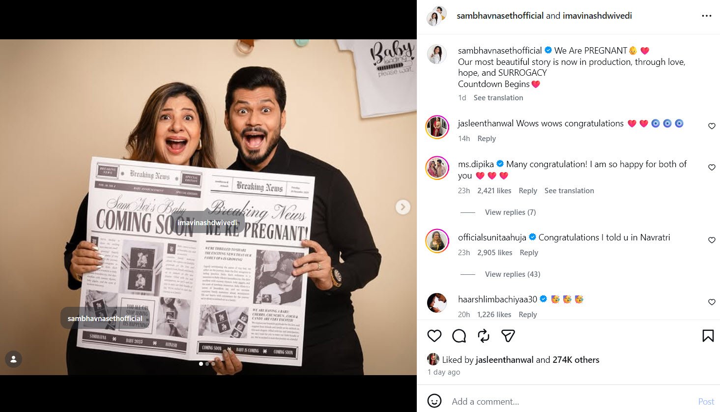 Sambhavna Seth Pregnant